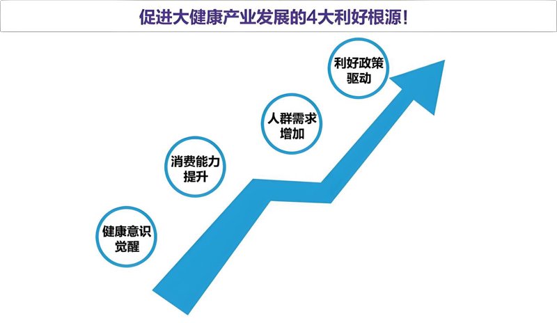 大健康产业